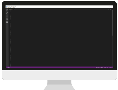 Programmers computer screen